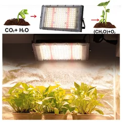 Full Spectrum 380-840nm Sunlight Growth Light LED IP65 50W 100W 300W Plant Grow Light with EU Plug for Indoor greenhouse