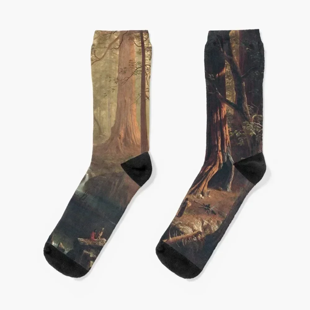 Giant Redwood Trees of California - Albert Bierstadt Socks cute Novelties Soccer Climbing Luxury Woman Socks Men's