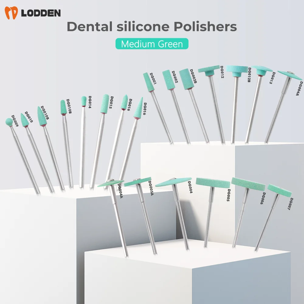 

LODDEN Dental Ceramic Diamond Polisher DG001 - DG017 Dentist Lab Grinding Stones Medium for Zirconia Porcelain Grinding Tools
