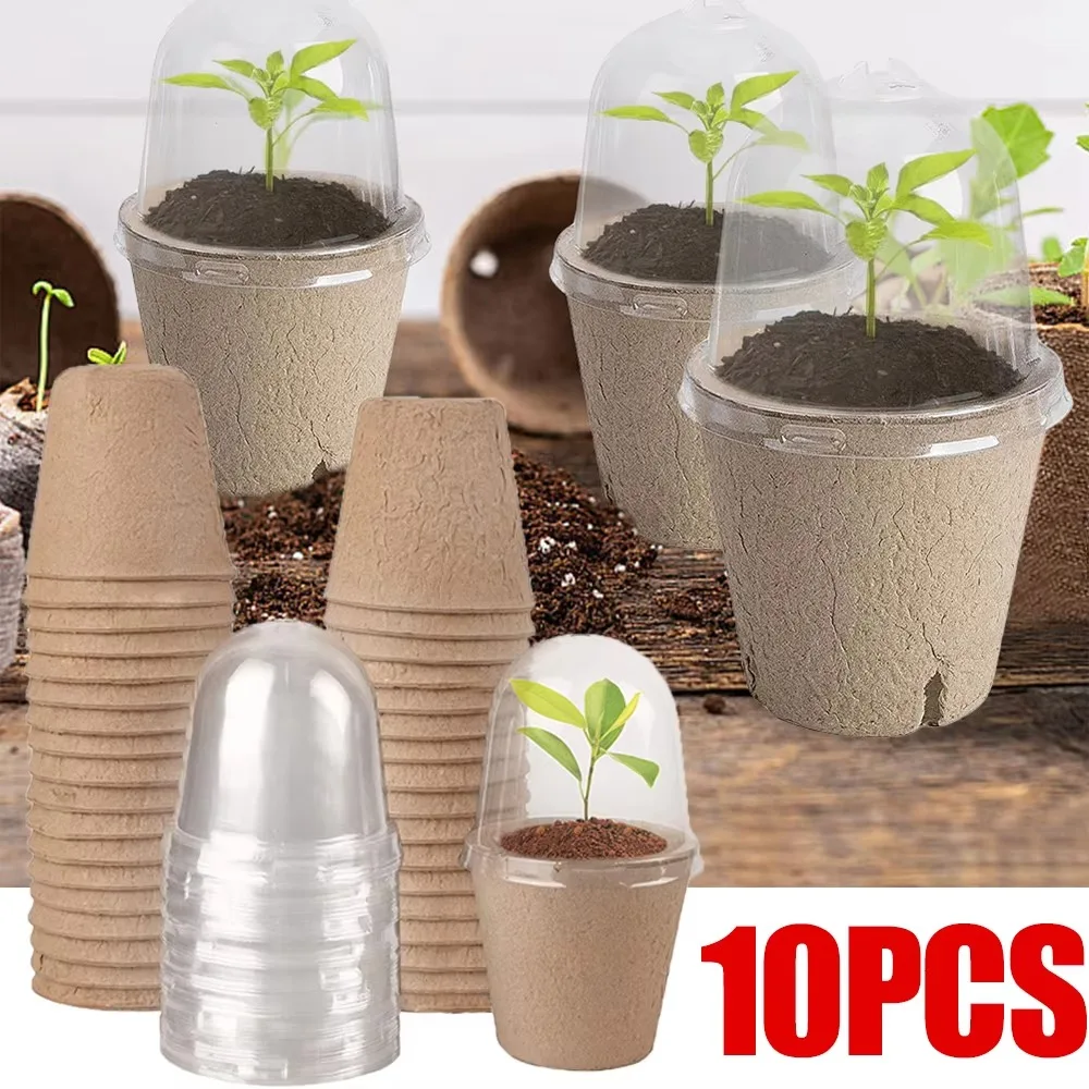 10pcs Transparent Lid Round Peat Pots Biodegradable Eco-friendly Nursery Pots Fibre Paper Planting Tools Seedling Starters Cups