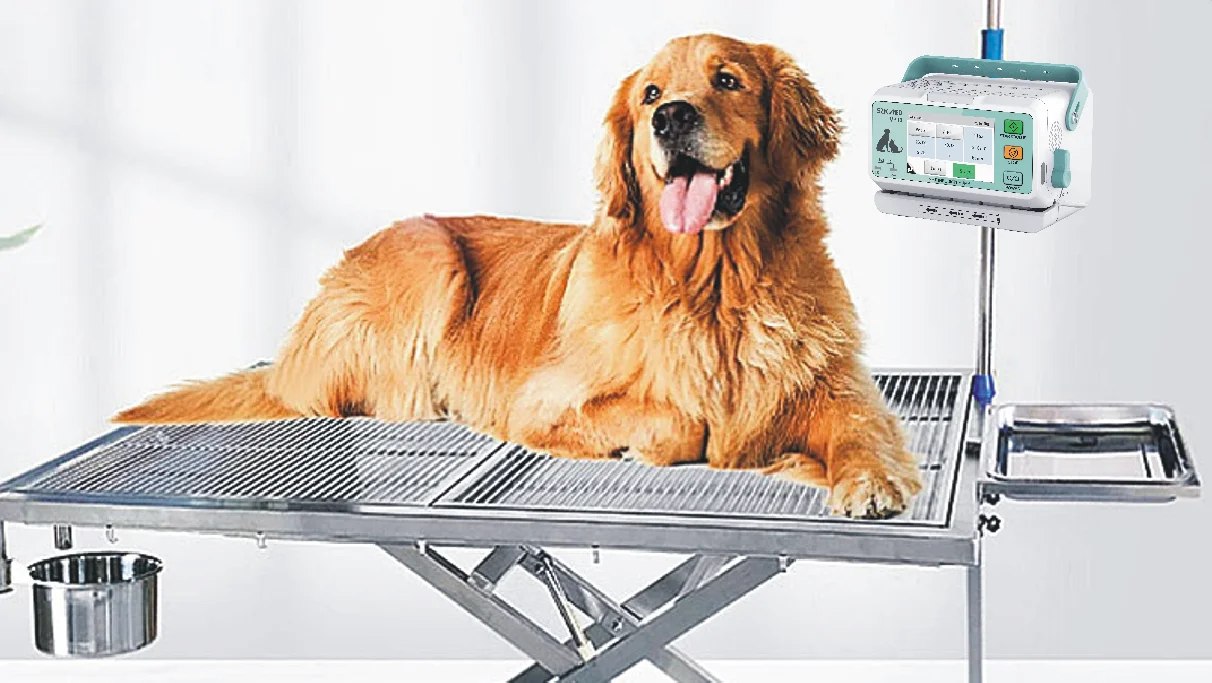 Usmiley 病院ペットクリニック機器タッチスクリーン大型動物獣医ポンプクリニック使用