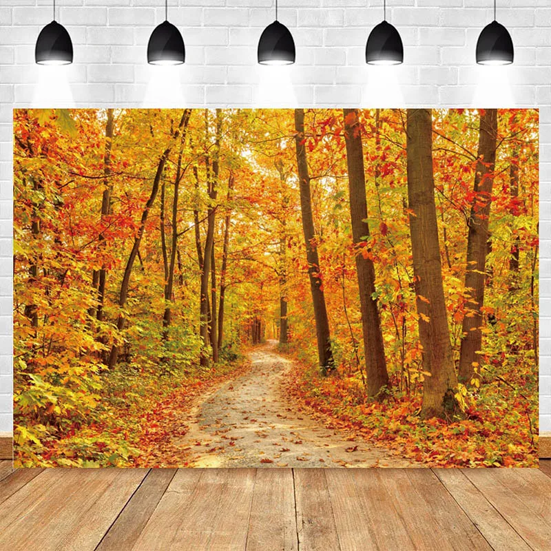 Nature Landscape Picture Autumn Forest Trees Posters Sunshine Prints Canvas, Wall Art, For Living Room Decor Cuadros Gift