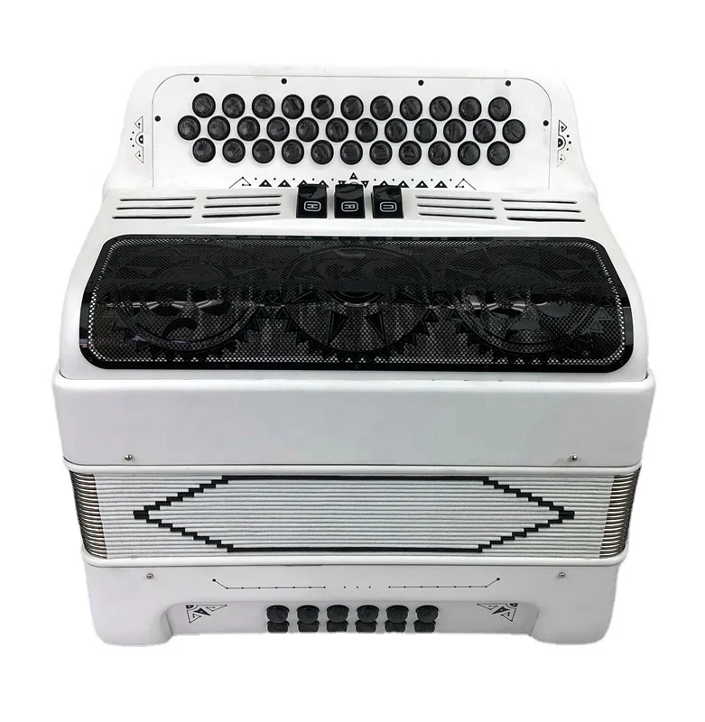 34 Key 12 Bass Diatonic Button Accordion Durable Delicate Paint Musical Instrument For Student Folk Practice Performance