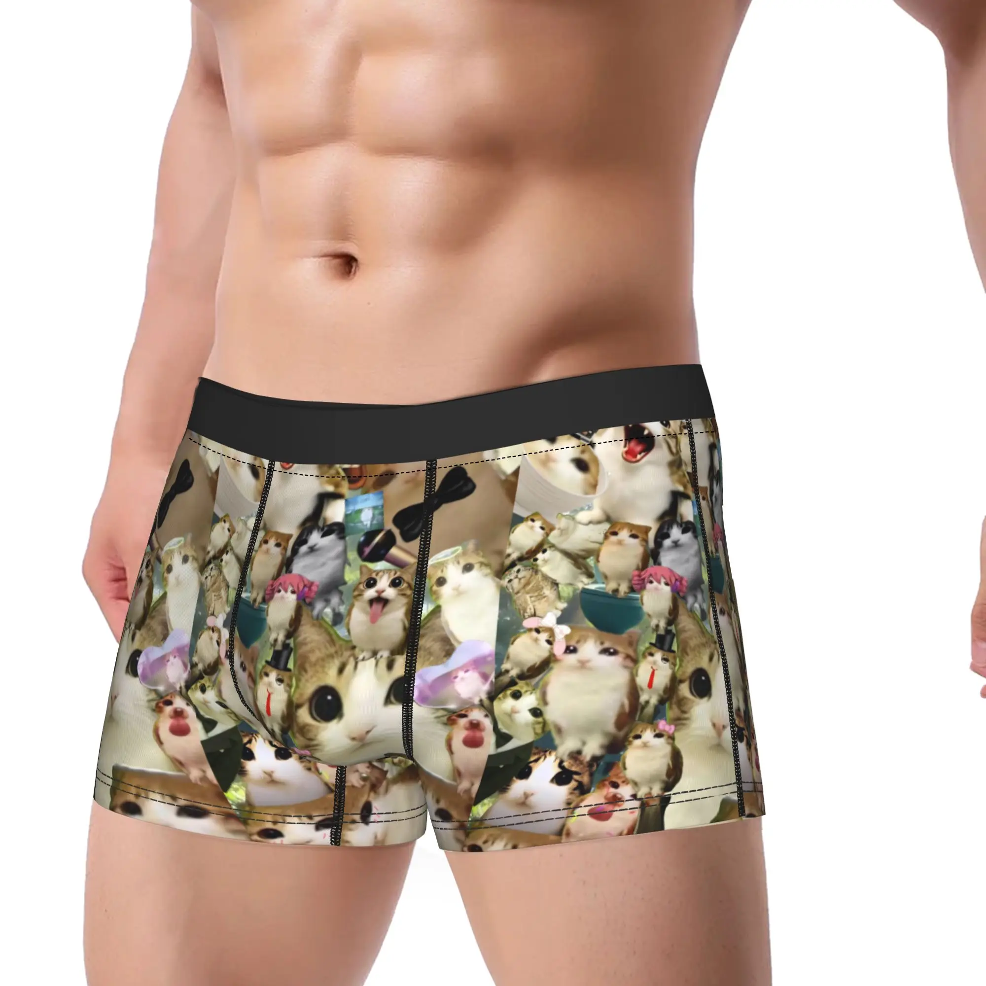 Meowl Cat Owl Meme Merch Boxers Shorts Fun Underwear  Boxer Underpants Gag Gifts For Man