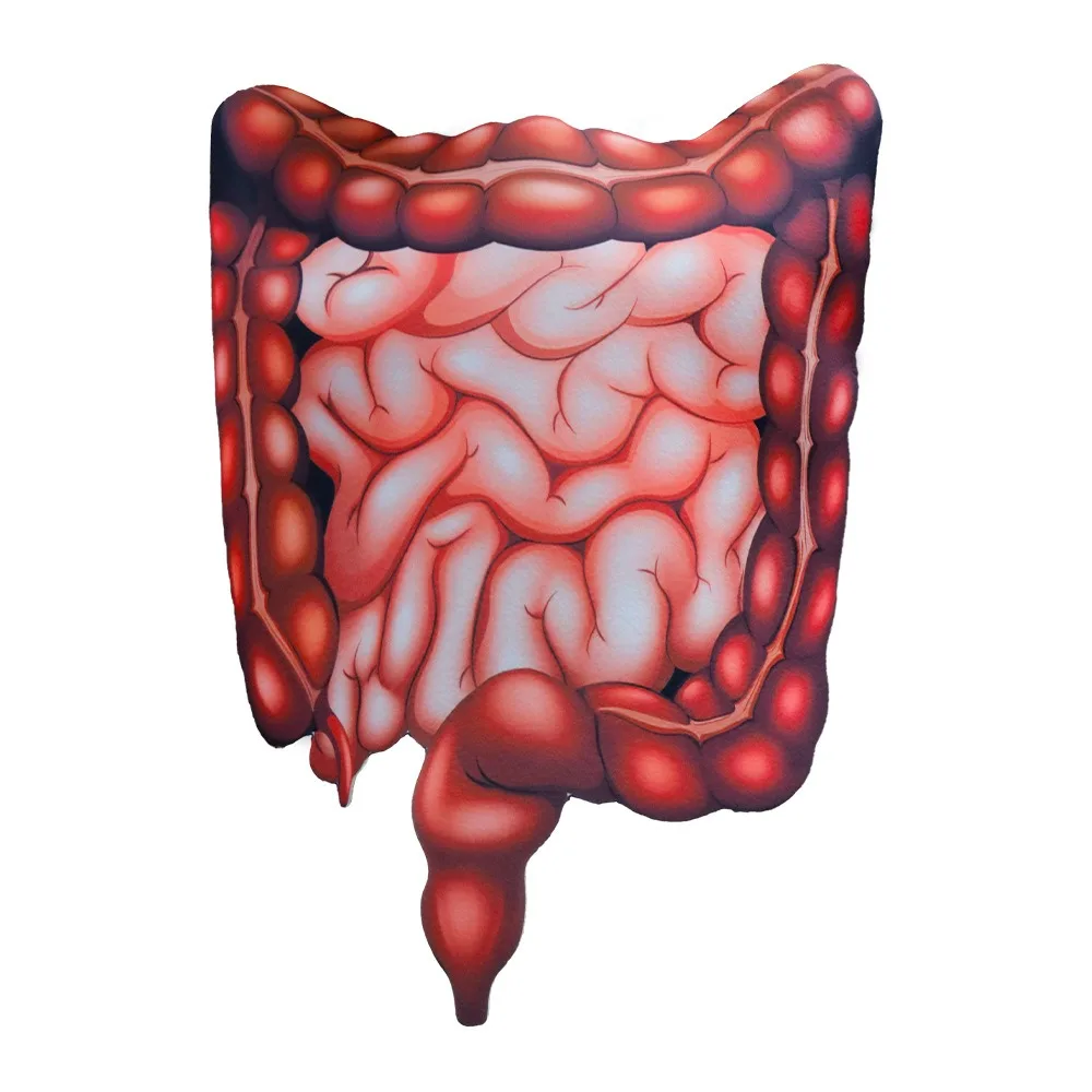 

Креативный дизайн сердца, карнавальный костюм, реалистичные вязальные органы, детский костюм на Хэллоуин с принтом, удобный забавный костюм