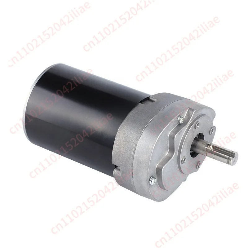 Brushed DC motor, special motor for juice machine, household and commercial motor, bean grinder motor
