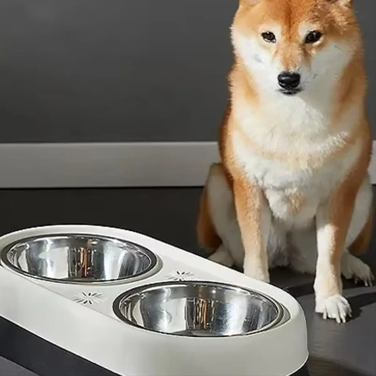 SSR Dog Elevated Feeder Anti Knock Stainless Steel Raised Dog Bowl Elevated Bowls for Dog Cat Bowl