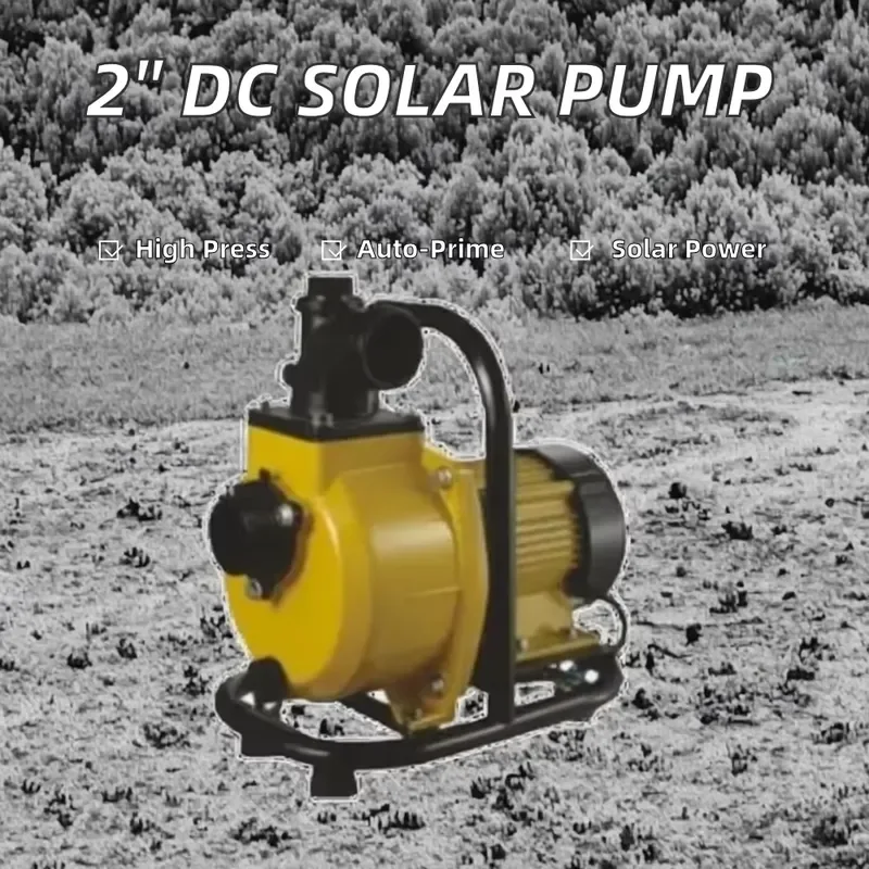 2 Inch DC Brushless Solar Water Pump 1200W High Flow 20m Head Self Priming for Agricultural Irrigation System OEM