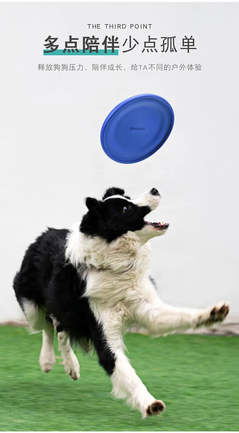 

Bite-resistant soft Frisbee dog training, pet toy foam can float pet interactive toy