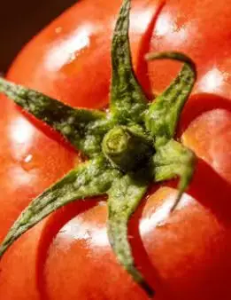 

Парикмахское кресло 2026 с раковиной для салона красоты, профессиональное кресло для мытья головы, брендовое кресло для салона