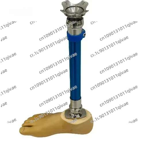 

Детали ног протезирования искусственных конечностей ниже колена (обратите внимание, сколько см. длина стопы, которые вам нужно)