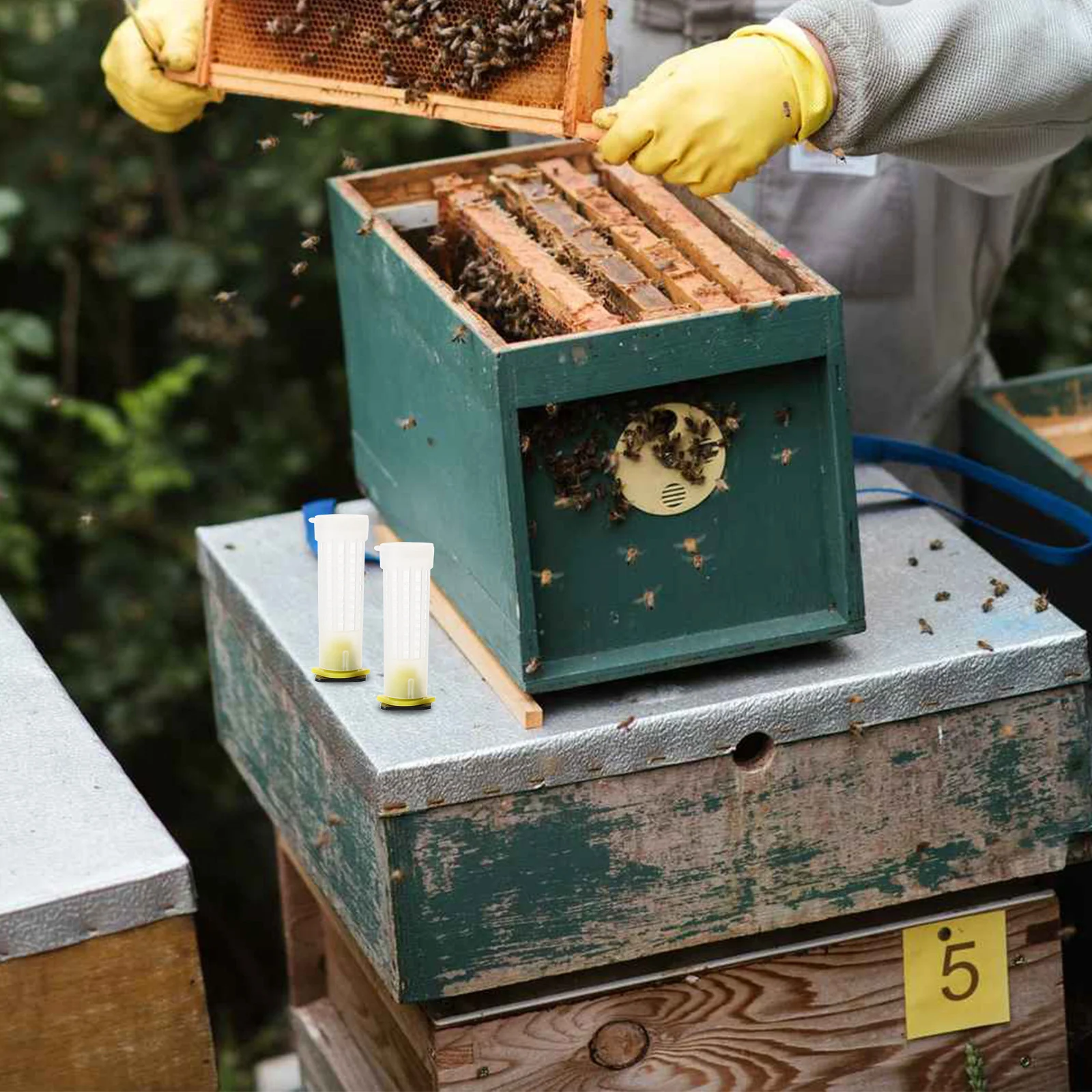 20 قطعة الغطاء الواقي لخلية الملكة البلاستيك خلية النحل حارس السلامة مكافحة العض دائم سهلة نظيفة تربية النحل أداة قفص النحل حامي