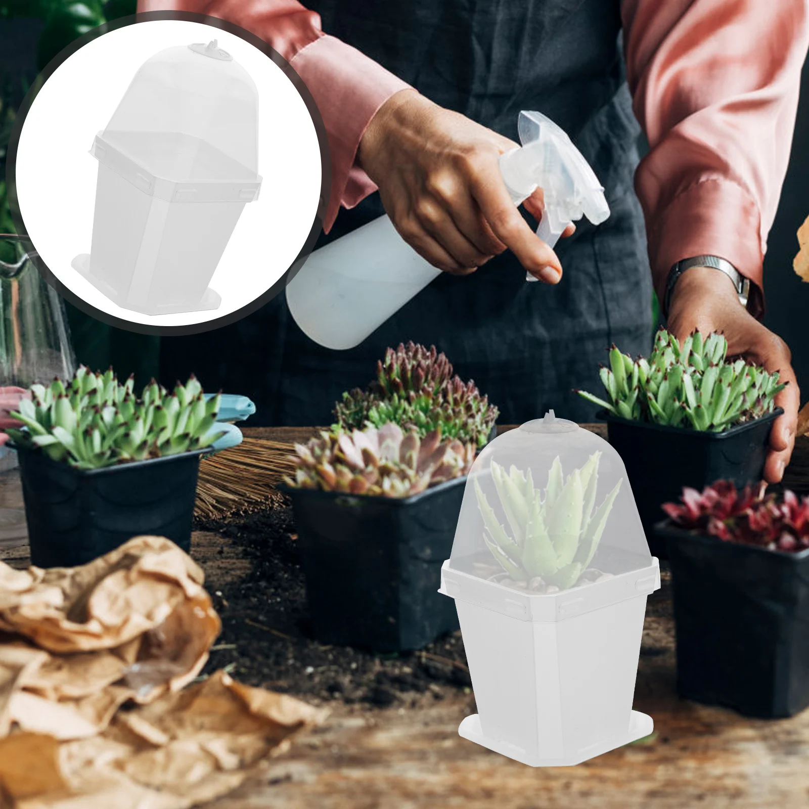 

10pcs Insulated Seedling Pots Garden Nursery Planting Containers Drainage Holes Transparent Dome Lids Lightweight for Indoor