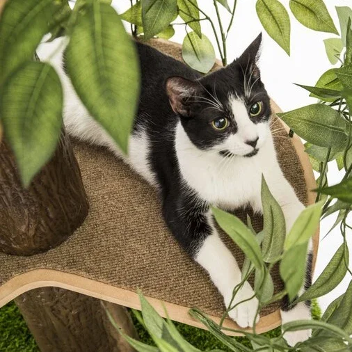 Árvore de gato com folhas grande quadrado gatinho apartamento atividade árvore gato escalada quadro torre de gato