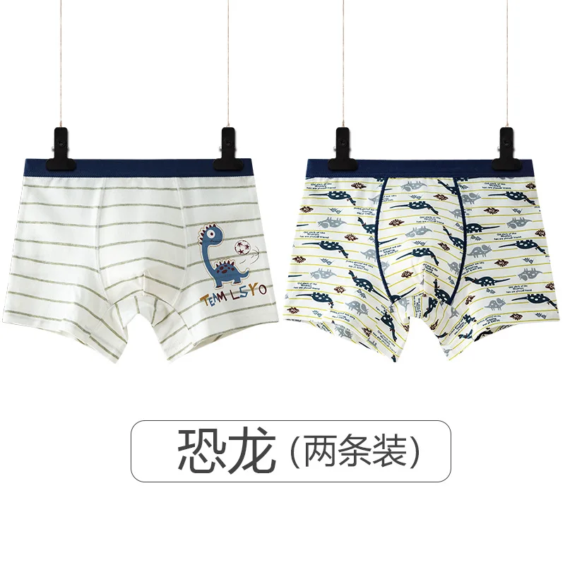 Cotton Kids Underwear 2024 Cartoon Dinosaur Boxers for Boys Teenage Plaid Panties Shorts Boy Cute Underpants 2 4 8 12 14 Years