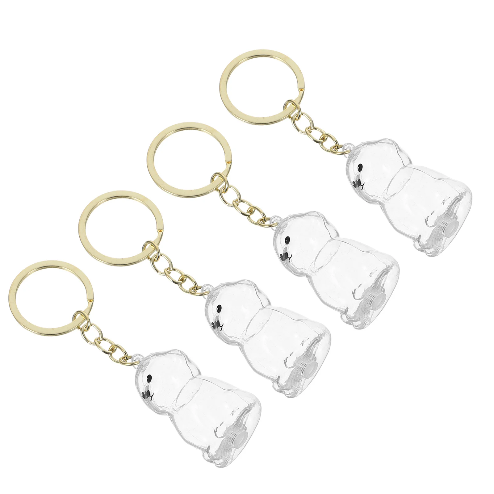 

4Pcs Dog Hair Keepsake Box Keychain - Clear Pet Memory Holder for Ashes Hair Travel Accessory Emotional Keepsake