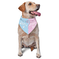 Gender Reveal Pet Bandana - Pink Blue Triangle Scarf for Baby Shower Photography & Pregnancy Announcement Party Decor