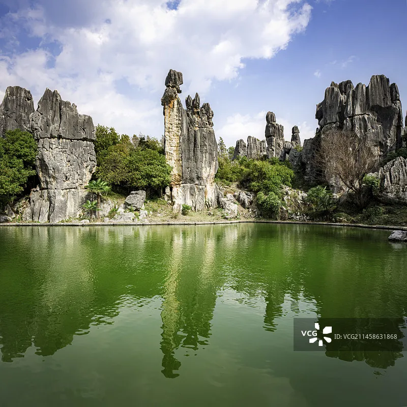 

JX Servo PDI-5508MG 8kg High-Torque Metal Gear Digital Coreless Standard Servo for Helicopter RC Car Truck Buggy Robot Arm Boat