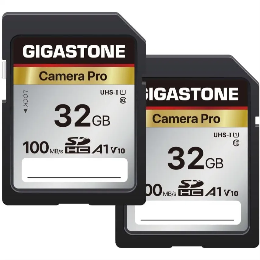 32GB SD Card 2-Pack, A1 V10 Memory Card for Trail Camera, Up to 100MB/s, Full HD, Waterproof & Shockproof, with 2 Mini Cases