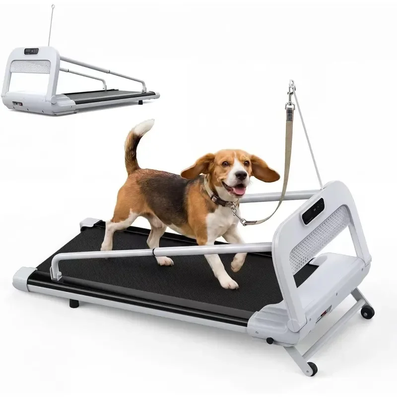 2-in-1 Dog Treadmill for Indoor Exercise Quiet Pet Running Machine with Remote Control 265 lbs Weight Capacity Perfect
