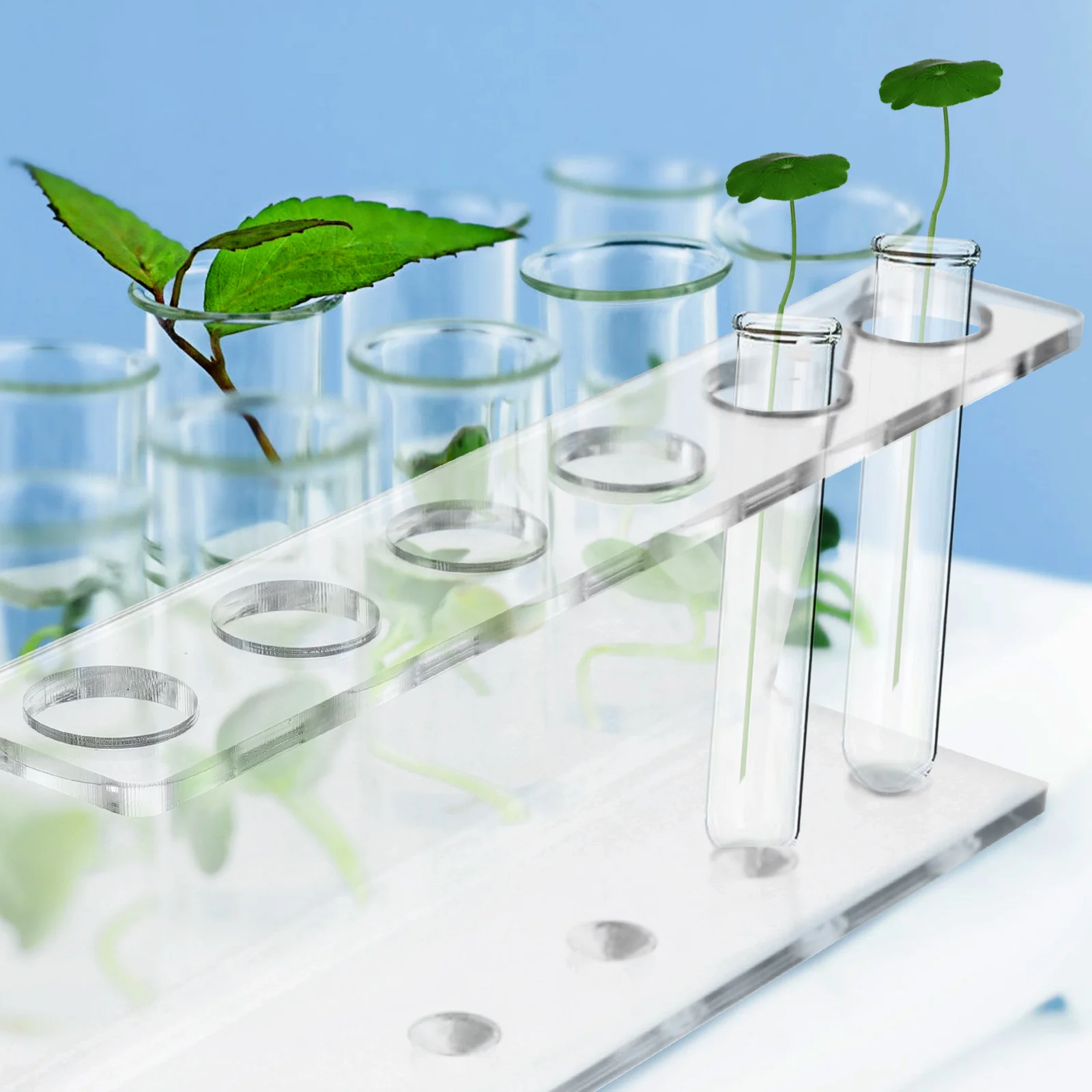 

6 Slot Hydroponic Test Tube Rack Acrylic Display Stand Transparent Storage Shelf Porous Holder For Laboratory Decoration