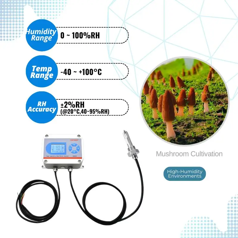 

Long Lifespan 95%RH 98%RH SS Probe High Wet Temperature And Humidity Transmitter With HG808-H Display Rs485 4-20mA