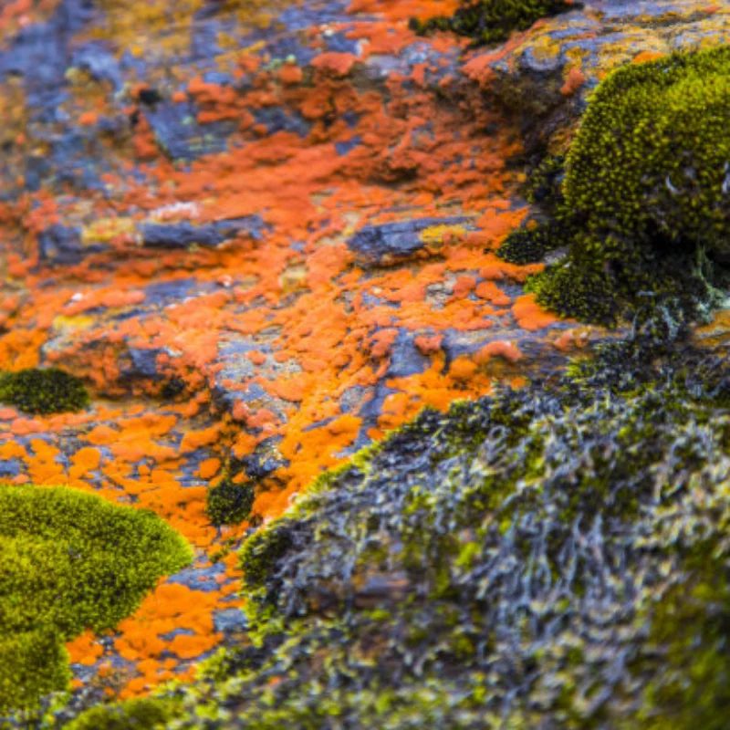 

MJX 1/20 20208 и JJRC C8811 7-компонентный комплект обновления цельнометаллической подвески, набор алюминиевых деталей с ЧПУ — прецизионный вес 93 г