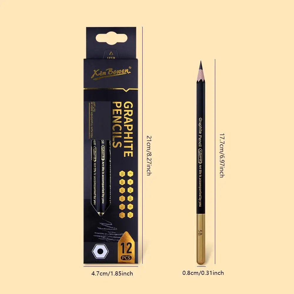 12Pcs Sketch Black Pencils Professional Charcoal Pencils Set for Drawing Sketching Shading Blending Writing Graphite