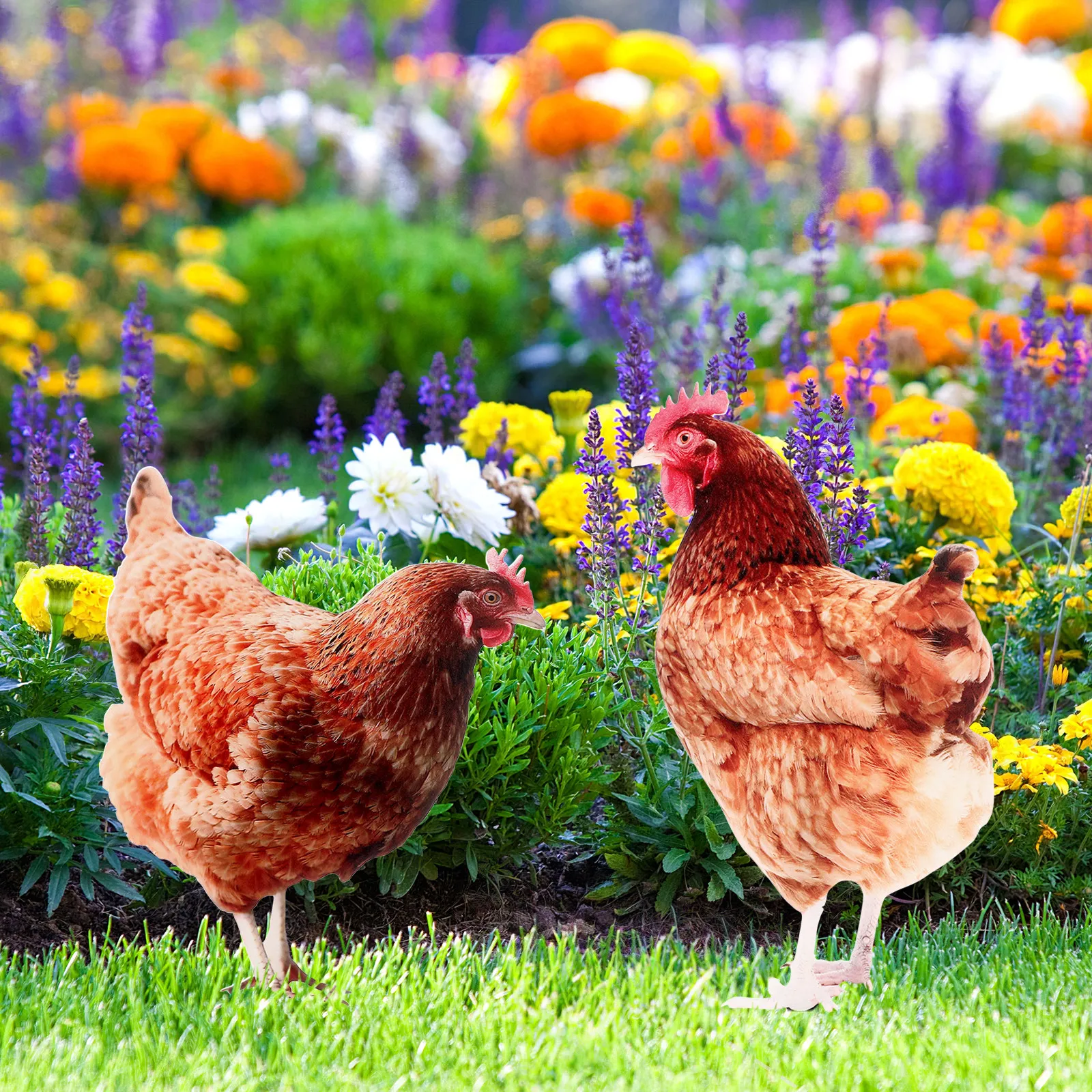 

3Pcs Garden Hen Stakes Acrylic Realistic Outdoor Lawn Decoration Yard Ornament Garden Accessory for Patio Courtyard