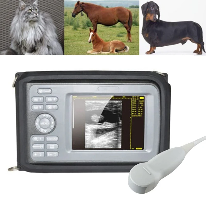 Portable Vet Ultrasound Machine Digital Handheld Veterinary Ultrasound Scanner Machine With 6.5Mhz Mini Convex Probe