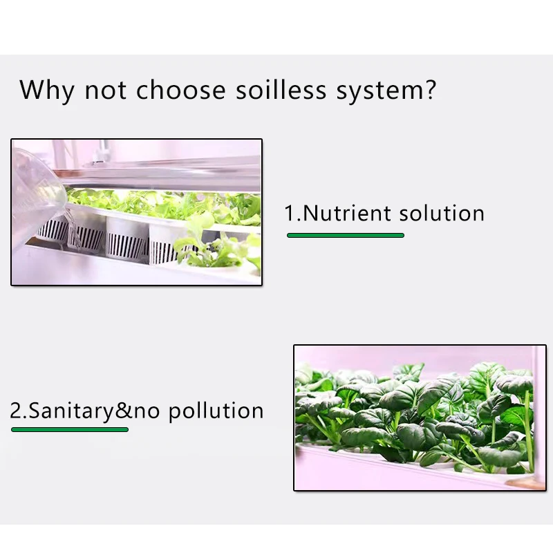 2026 أنظمة الزراعة المائية مريحة وصديقة للبيئة آلة زراعة الخضروات النباتية