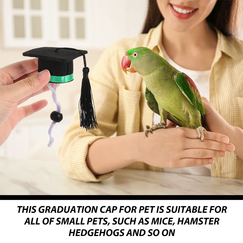 

2Pcs Doctor's Hat Mini Graduation Caps Lightweight Adjustable Small Pet Hat Hamster Green Ribbon Photo Prop Ideal Festival