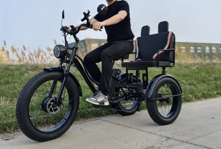 

20-24 inch new snow land general pedal electric variable speed tricycle vegetable basket car light moped