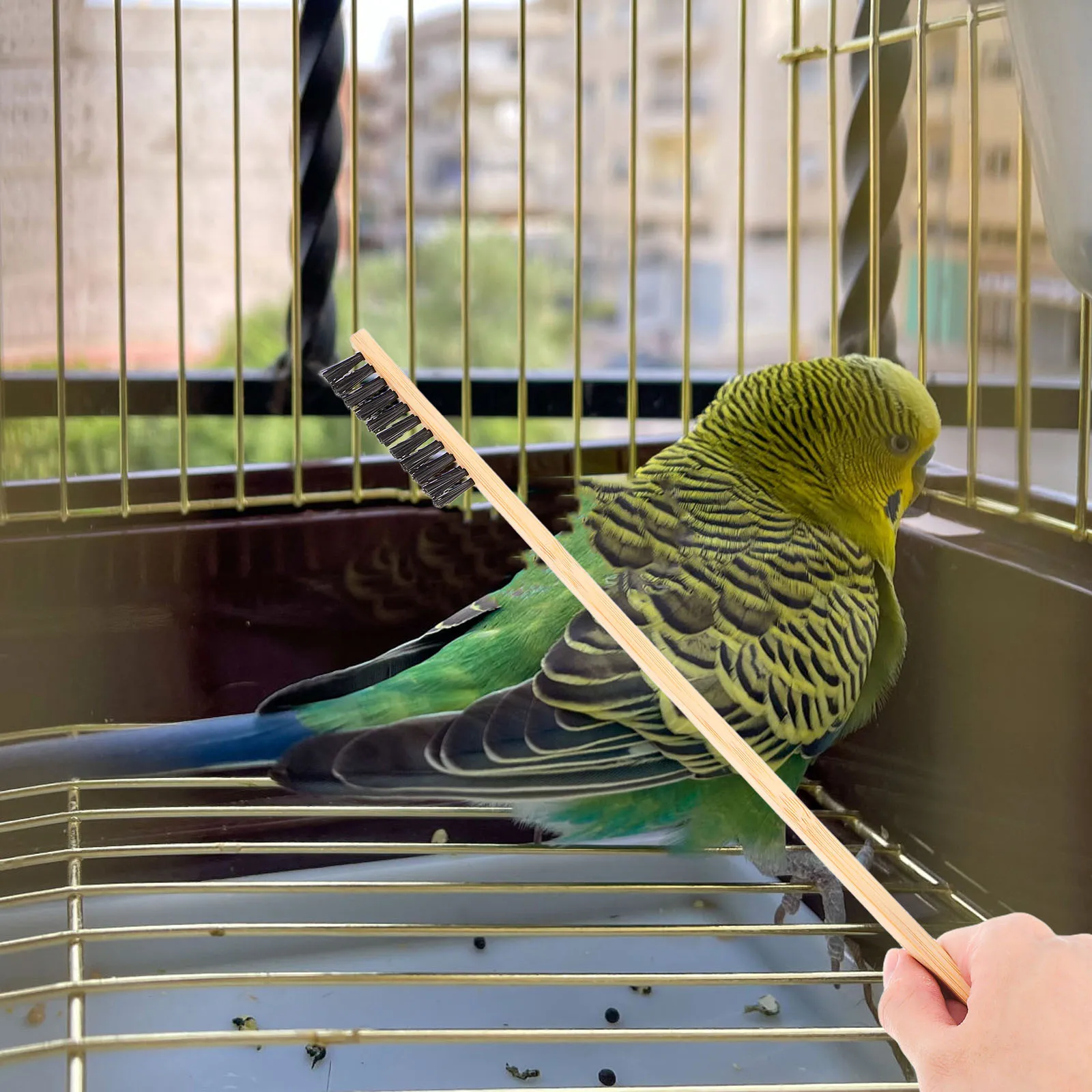 

2 pcs Bird Cage Cleaning Brush Set Stainless Steel Wood Pet Droppings Shovel Chicken Coop Rabbit Supplies Cleaner