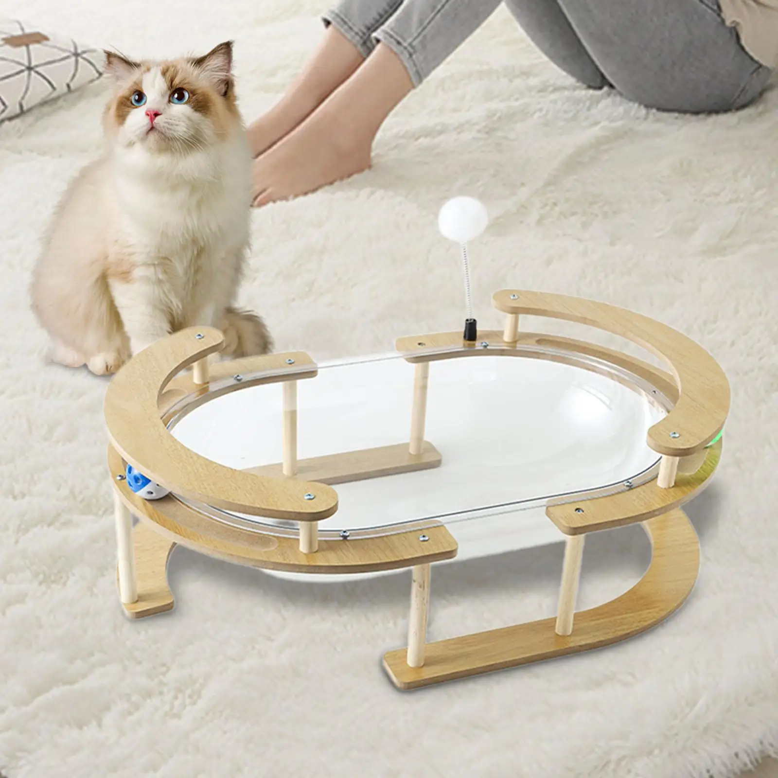 

Space Capsule Cat Bed for Indoor Cats Activity Center Multifunctional Stable Sleeping Nest Transparent Hammock for Kitten Kitty