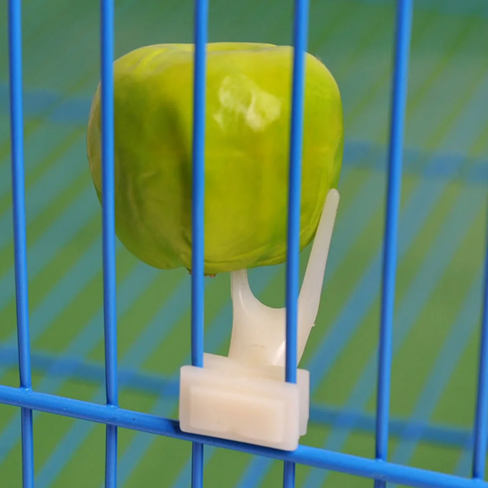 

20pcs Fruit Fork Bird Feeding Tool Compact Durable Healthy Material Easy Clean Reusable Parrot Fruit Holder Food Accessory Pet