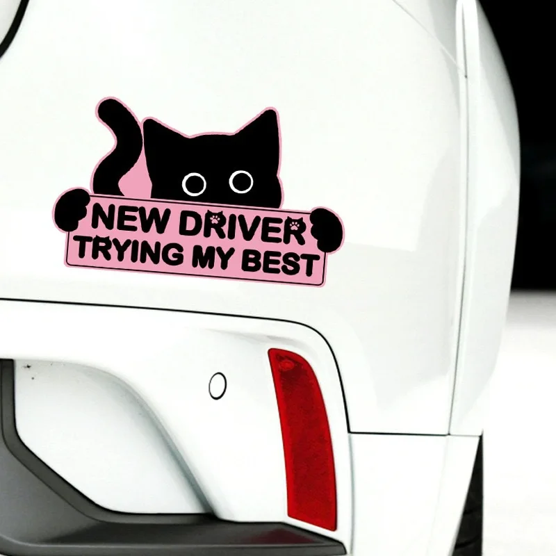 Magnetischer Reflektierender Aufkleber für Fahrschüler, Studenten-Fahrer-Stoßstangenaufkleber, Englischer Katzen-Aufkleber – Detail 6