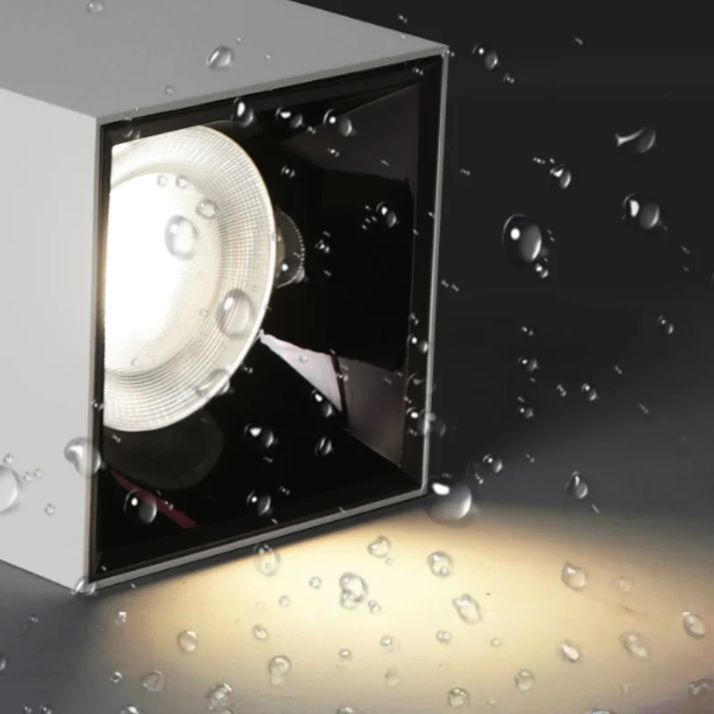 IP65  Exposed square waterproof downlight with IP65 rating for entrance canopy, sunroom terrace, hotel awning, swimming pool