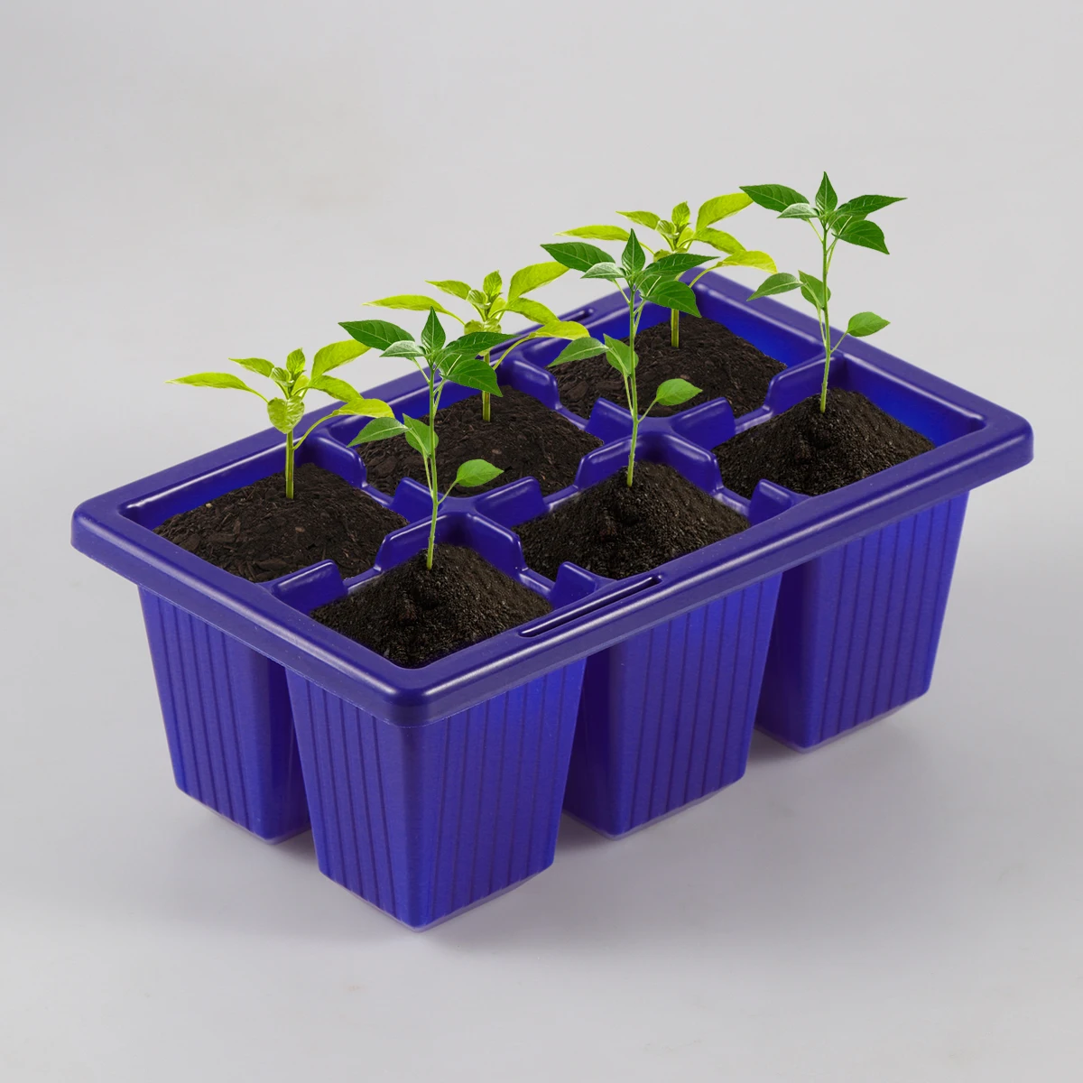 

10pcs Seed Sprouter Tray 6 Cells High Germination Ventilated Grid Light Durable Plastic Grower Tray For Plant Seedlings Blue