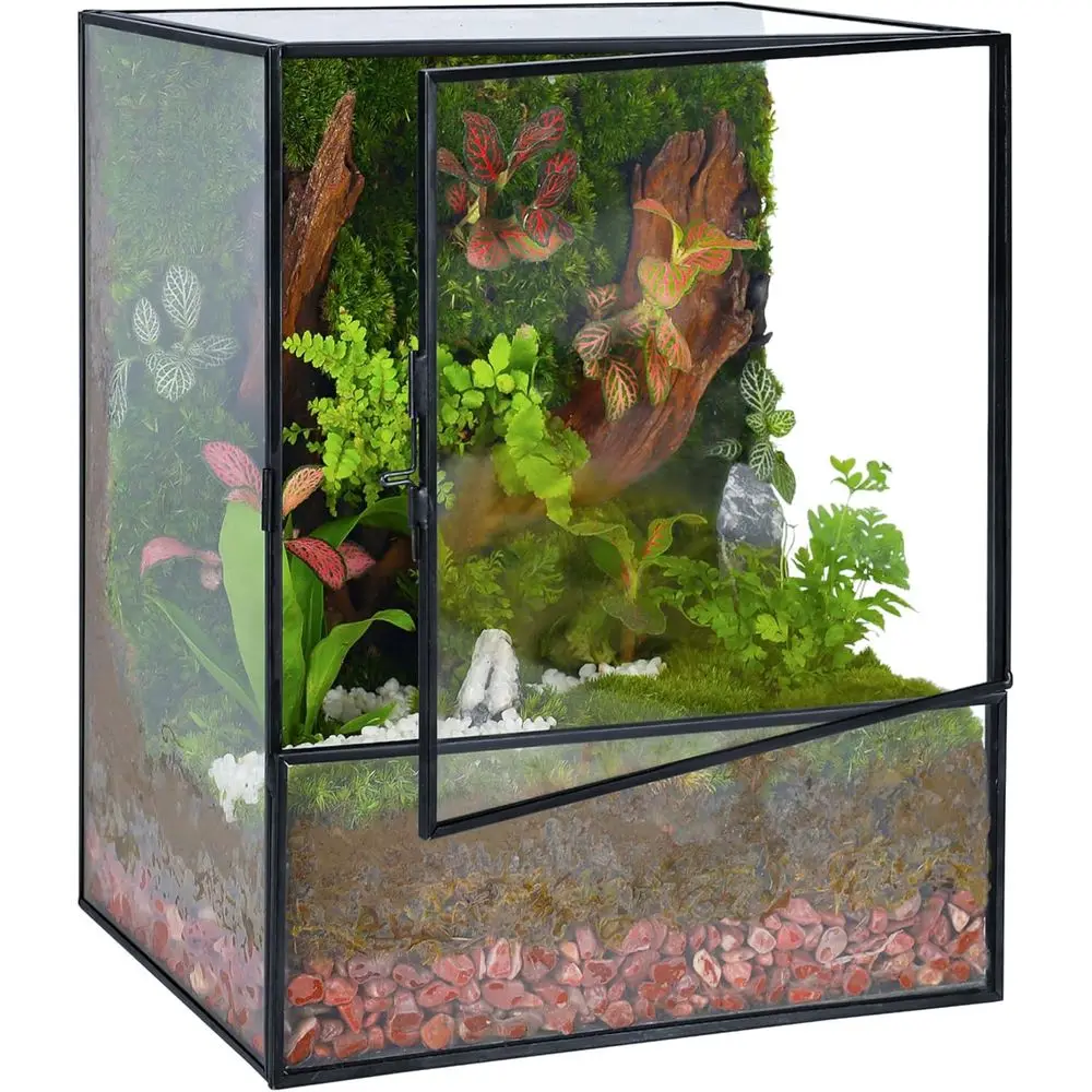Elegant Glass Planter Terrarium for Succulents and Moss