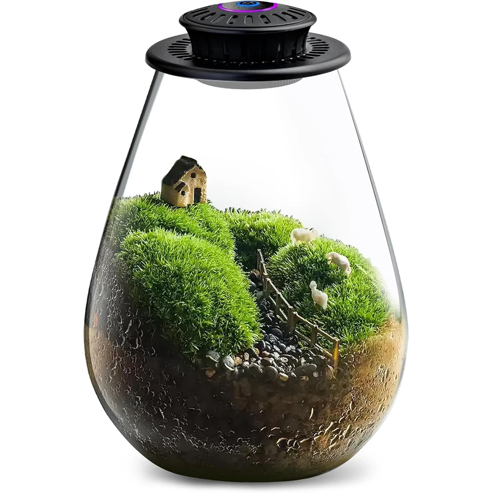 Glass Plant Terrarium with LED Grow Light Borosilicate Terrarium with Adjustable Ventilation & Timer, for Venus Fly Trap, Moss