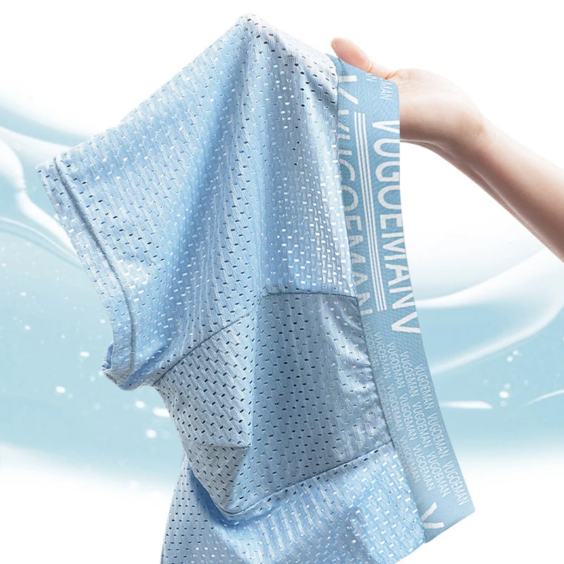 4pcs Summer Man Underwear Boxers Mesh Undershorts Breathable Comfortable Light Panties L XL XXL 3XL 4XL Men Boxers