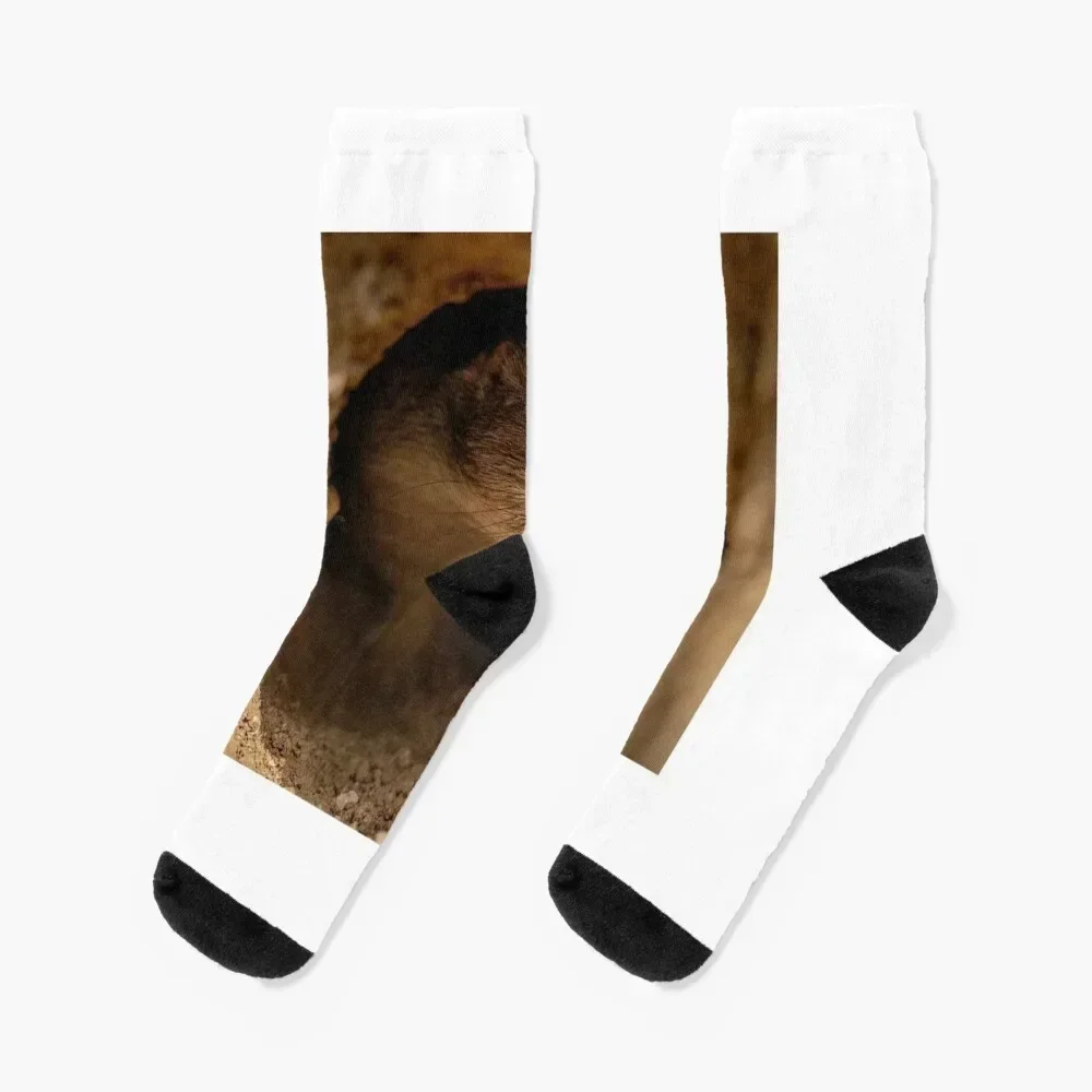 

Taking a peak Socks summer funny gifts Socks Girl Men's