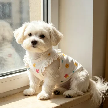 Warm Winter Dog Sweatshirt 1