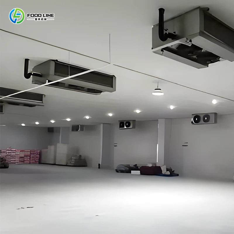 Portable Modular Cold Room Container Refrigeration Unit Suitable for Fresh Fruit Preservation Temperature Control System