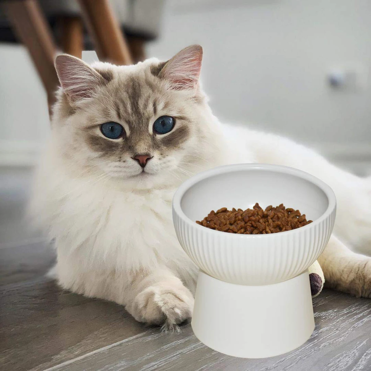 

Ceramic Pet High Feet Bowl Durable Eco Friendly Food Dish Cat Dog Eating Basin Easy Clean Dog Eating Basin