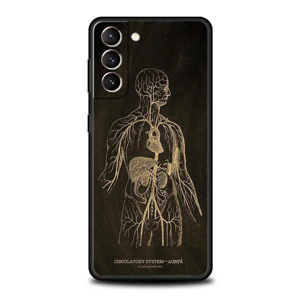 Anatomy Skeleton Chalkboard Body Heart Phone Case For Samsung Galaxy S25 S24 S23 FE S22 Ultra S20 S21 5G S10 Plus S10E Cover