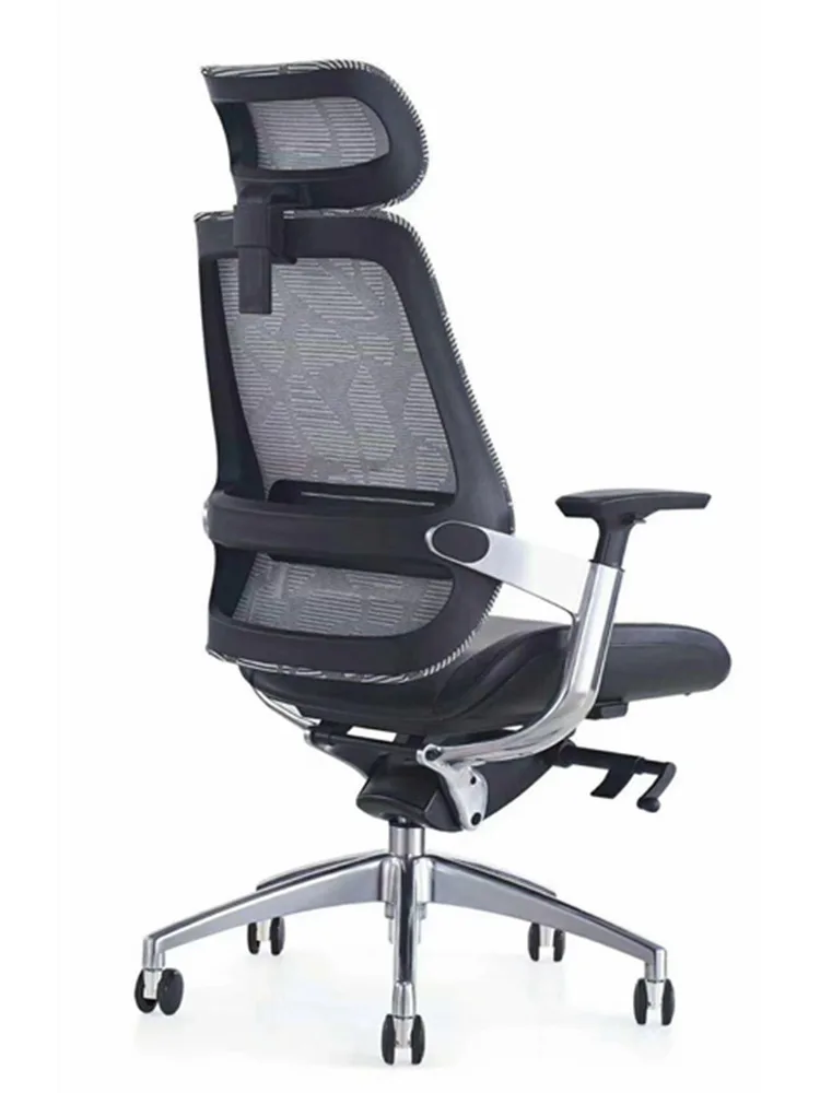 

Luxury, human body, engineering chair, computer, spine care, office, boss