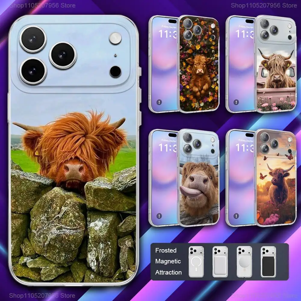 

Cute Animal Highland Cow Phone Case For iPhone 11,12,15,14,13,17,16,Pro,Plus,E,Max,Air,Mini Magnetic Frosted Cover