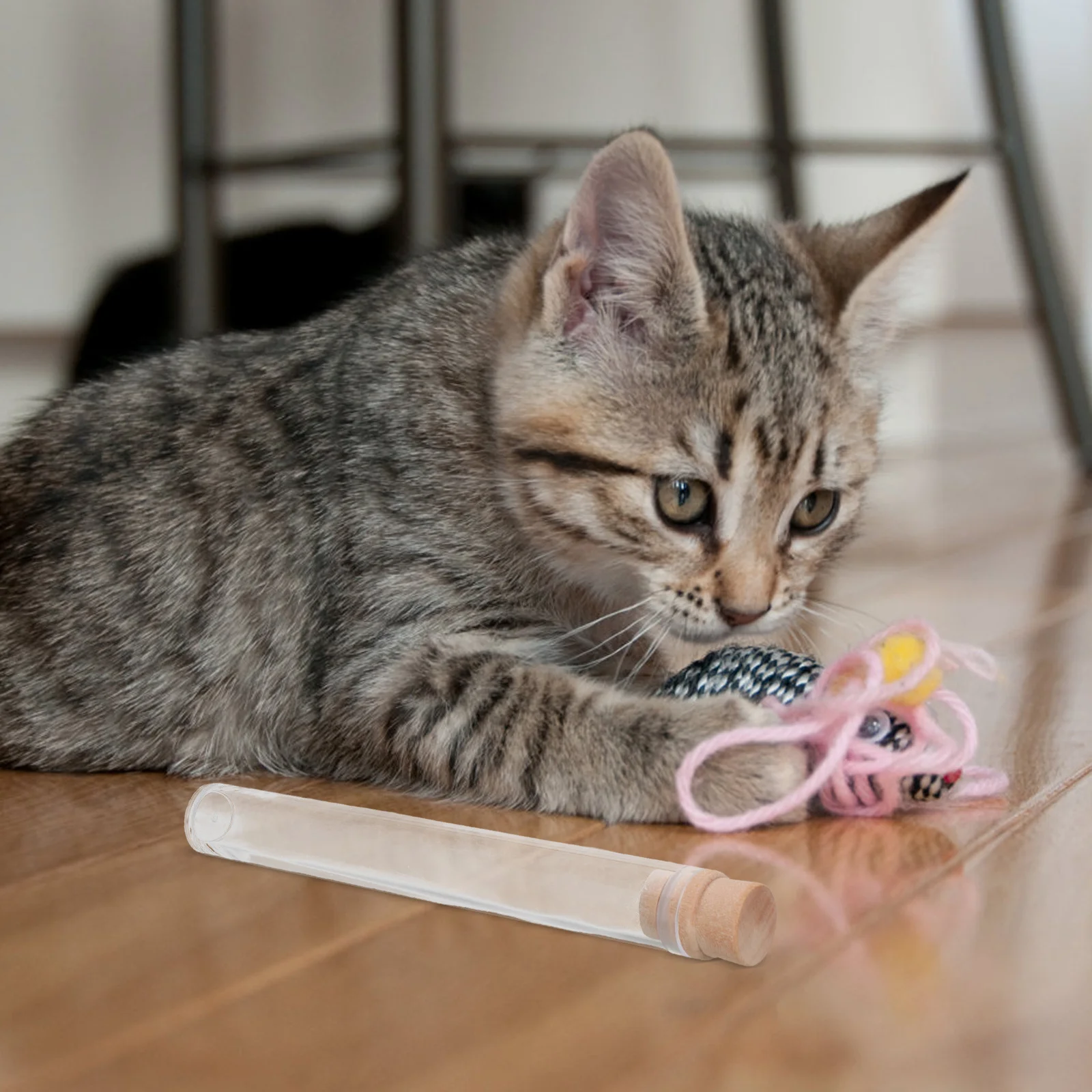 

2pcs Pet Hair Keepsake Bottle Cat Whiskers Holder Transparent Airtight Jar For Dog Hair Storage Portable Container Pet Memorial